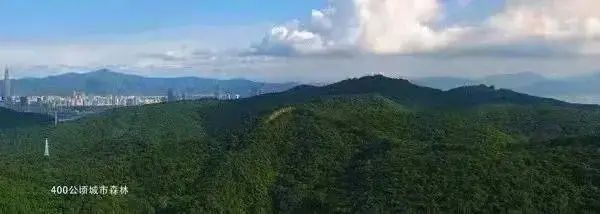 深圳南山华联城市中心2024网站售楼处电话最新楼盘资讯(图7)