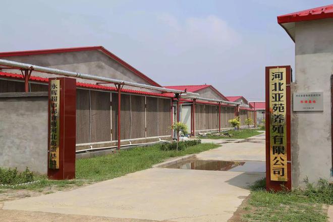 现代养殖业出秘密武器！纽恩泰空气能助力河北某养鸡场温暖大升级(图1)