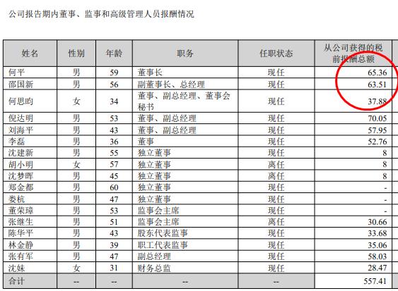 微光股份2024年净利润22亿增长82%：董秘何思昀薪酬38万涨薪8万元(图1)