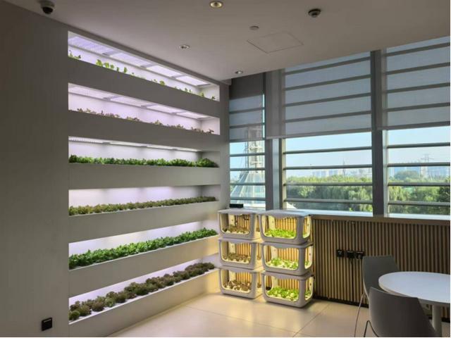 华贸中心的ESG进化论：从商业地标到生态共同体(图3)