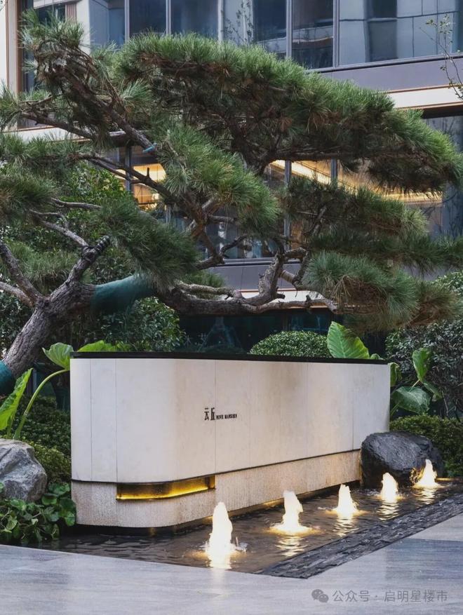 逆势“加仓”！南部新城新“顶流”非TA莫属！(图9)