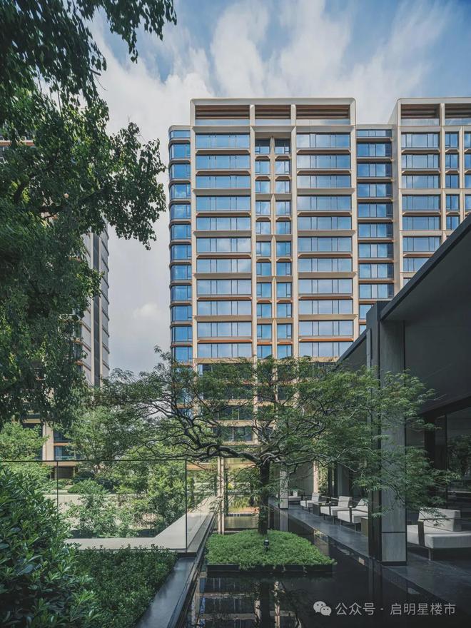 逆势“加仓”！南部新城新“顶流”非TA莫属！(图11)